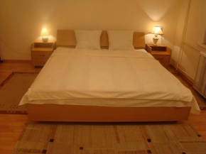 Отель Alex Apartments on Puskinskaya  Киев